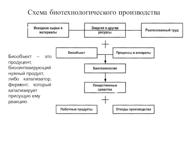 Схема биотехнологического производства Биообъект – это продуцент, биосинтезирующий нужный продукт, либо