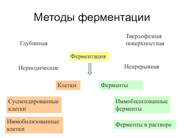 Методы ферментации Ферментация Глубинная Периодические Твердофазная поверхностная Непрерывная Клетки Суспендированные клетки