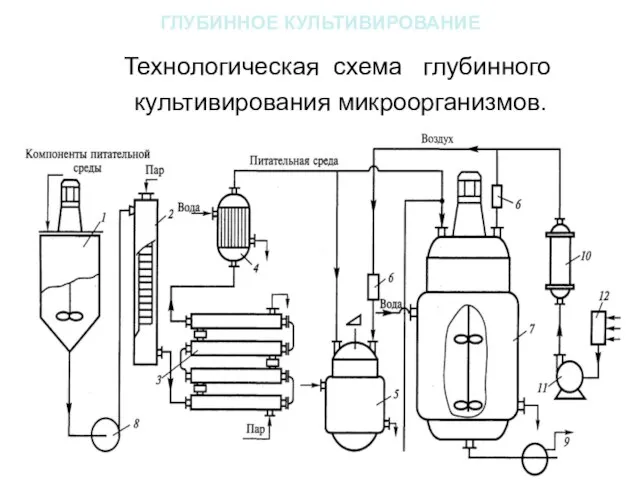 ГЛУБИННОЕ КУЛЬТИВИРОВАНИЕ Технологическая схема глубинного культивирования микроорганизмов. .