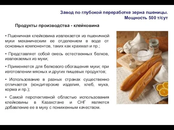 Завод по глубокой переработке зерна пшеницы. Мощность 500 т/сут Продукты производства