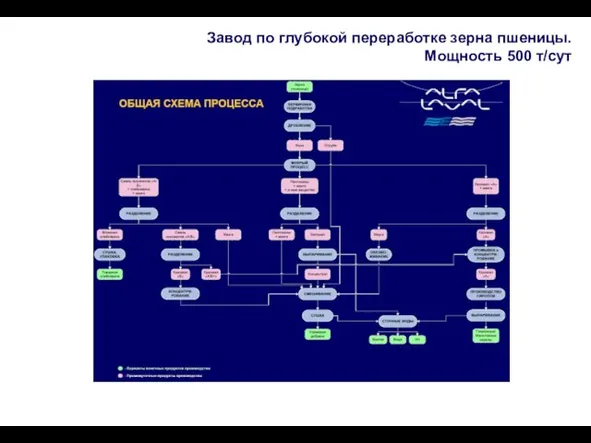 Завод по глубокой переработке зерна пшеницы. Мощность 500 т/сут