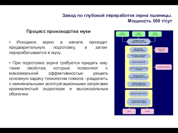 Завод по глубокой переработке зерна пшеницы. Мощность 500 т/сут Процесс производства