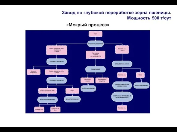 Завод по глубокой переработке зерна пшеницы. Мощность 500 т/сут «Мокрый процесс»