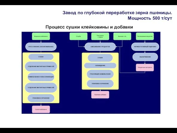 Завод по глубокой переработке зерна пшеницы. Мощность 500 т/сут Процесс сушки клейковины и добавки