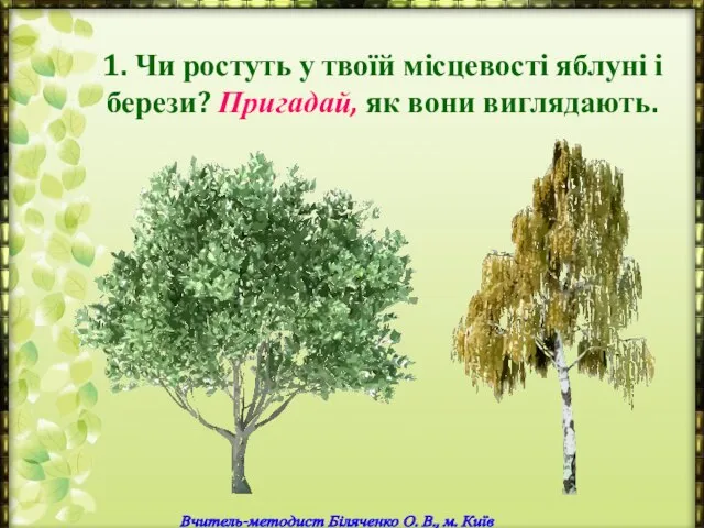 1. Чи ростуть у твоїй місцевості яблуні і берези? Пригадай, як