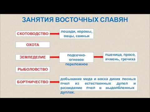 ЗАНЯТИЯ ВОСТОЧНЫХ СЛАВЯН СКОТОВОДСТВО ЗЕМЛЕДЕЛИЕ РЫБОЛОВСТВО ОХОТА БОРТНИЧЕСТВО лошади, коровы, овцы,