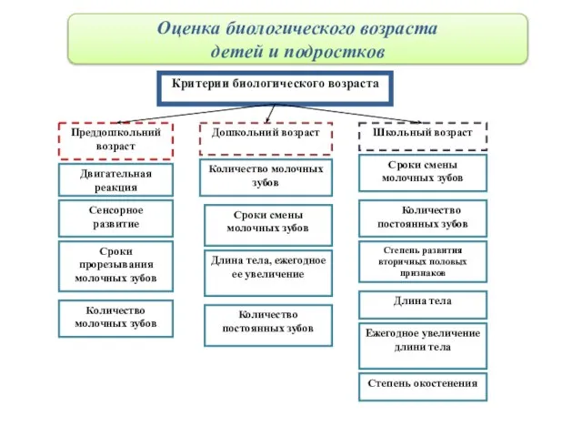 Критерии биологического возраста Преддошкольний возраст Дошкольний возраст Школьный возраст Двигательная реакция