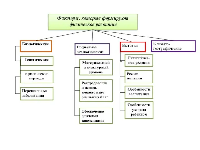 Факторы, которые формируют физическое развитие Биологические Социально-экономические Бытовые Климато-географические Генетические Критические