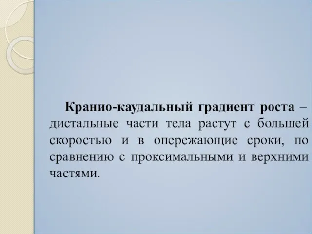 Кранио-каудальный градиент роста – дистальные части тела растут с большей скоростью