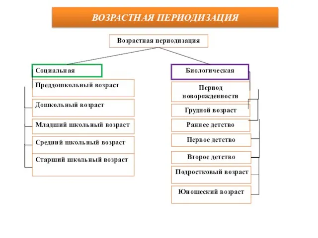 ВОЗРАСТНАЯ ПЕРИОДИЗАЦИЯ Возрастная периодизация Социальная Биологическая Преддошкольный возраст Период новорожденности Дошкольный