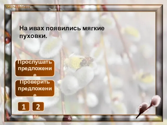 Прослушать предложение 1 2 Проверить предложение На ивах появились мягкие пуховки.