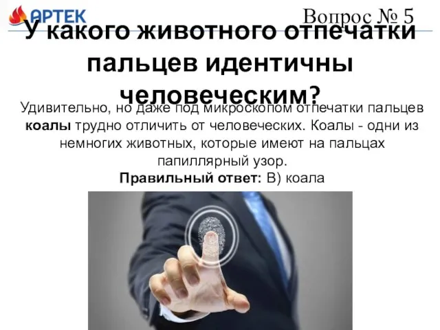 У какого животного отпечатки пальцев идентичны человеческим? Вопрос № 5 Удивительно,