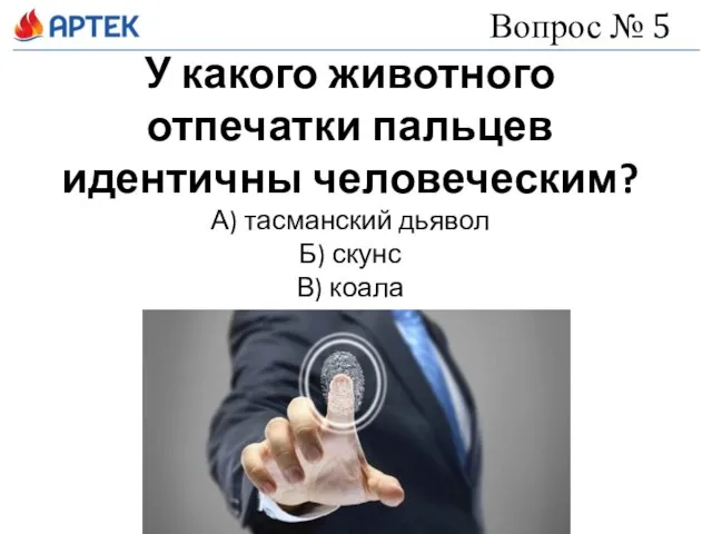 У какого животного отпечатки пальцев идентичны человеческим? А) тасманский дьявол Б)