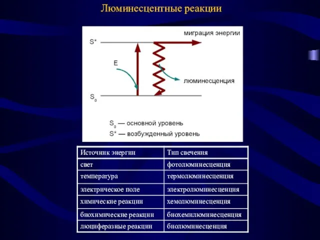 Люминесцентные реакции