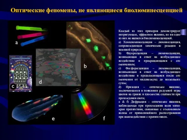 Каждый из этих примеров демонстрирует интригующее, эффектное явление, но ни одно