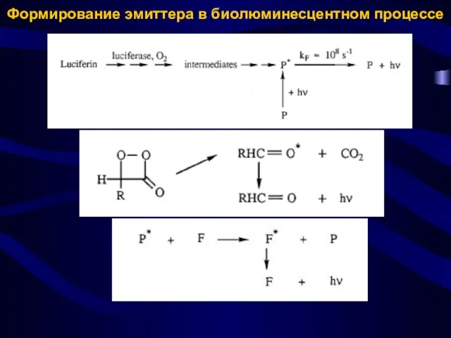 Формирование эмиттера в биолюминесцентном процессе