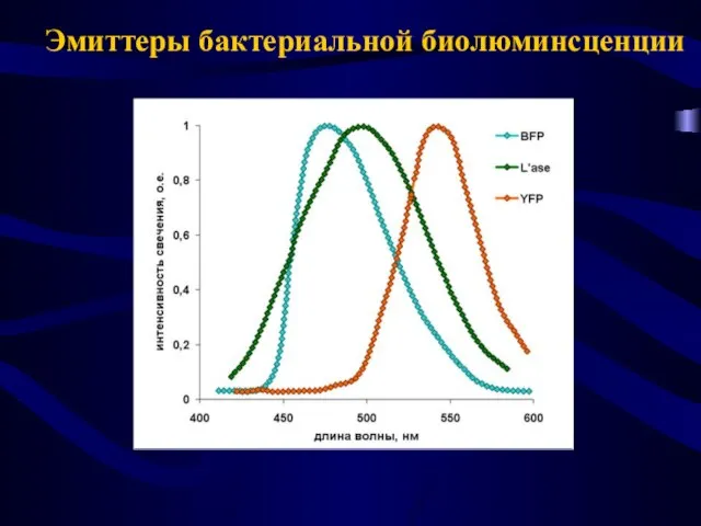 Эмиттеры бактериальной биолюминсценции