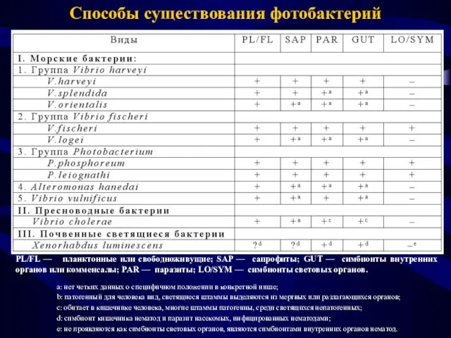 PL/FL — планктонные или свободноживущие; SAP — сапрофиты; GUT — симбионты