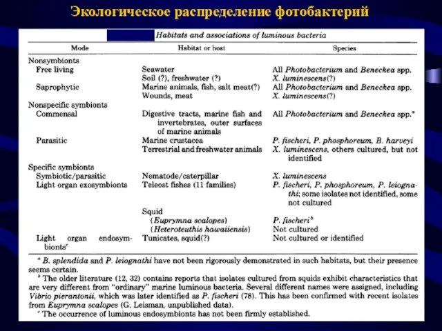 Экологическое распределение фотобактерий