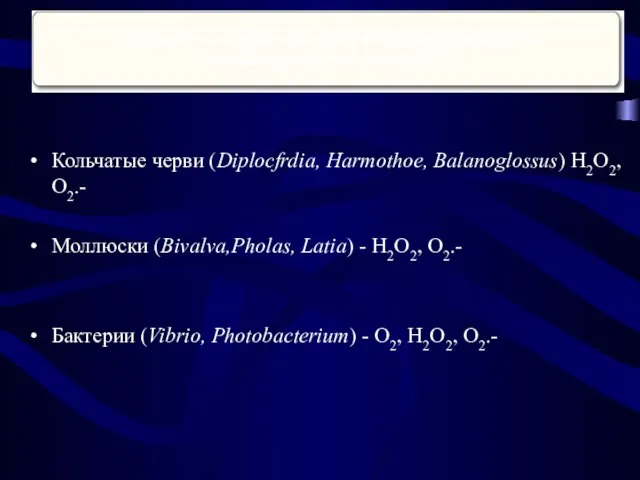 Кольчатые черви (Diplocfrdia, Harmothoe, Balanoglossus) H2O2, O2.- Моллюски (Bivalva,Pholas, Latia) -