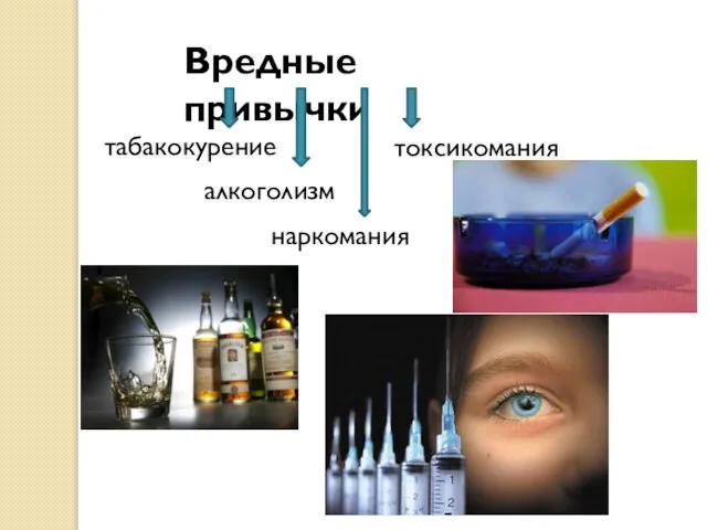 Вредные привычки наркомания табакокурение алкоголизм токсикомания