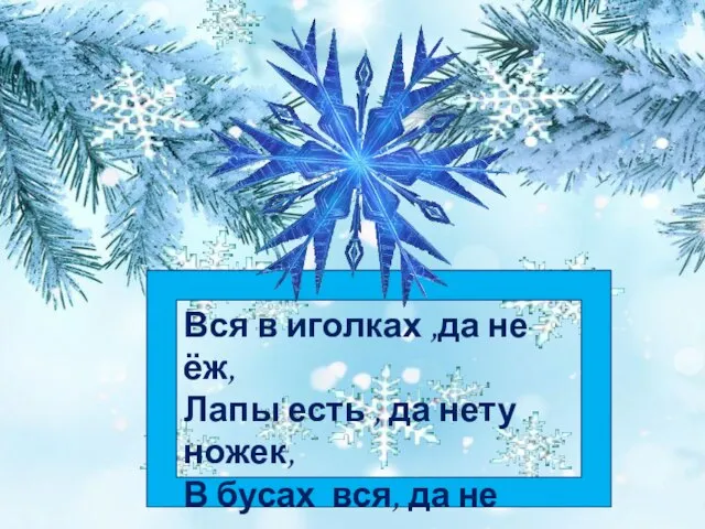 Вся в иголках ,да не ёж, Лапы есть , да нету