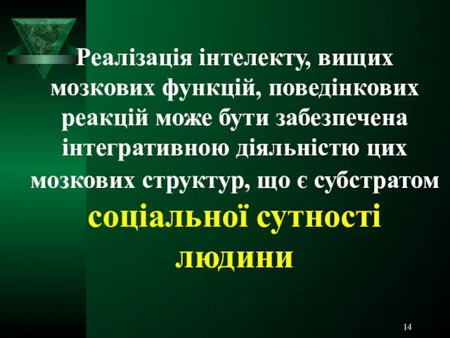 Реалізація інтелекту, вищих мозкових функцій, поведінкових реакцій може бути забезпечена інтегративною