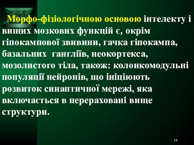 Морфо-фізіологічною основою інтелекту і вищих мозкових функцій є, окрім гіпокампової звивини,