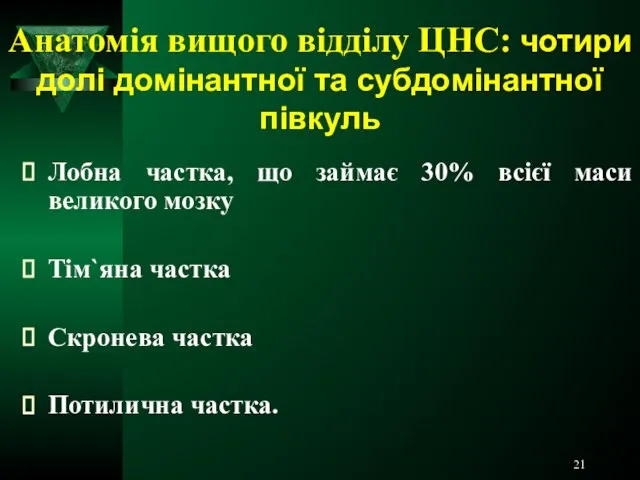 Анатомія вищого відділу ЦНС: чотири долі домінантної та субдомінантної півкуль Лобна