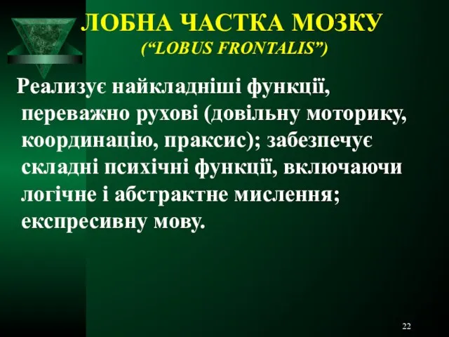 ЛОБНА ЧАСТКА МОЗКУ (“LOBUS FRONTALIS”) Реализує найкладніші функції, переважно рухові (довільну