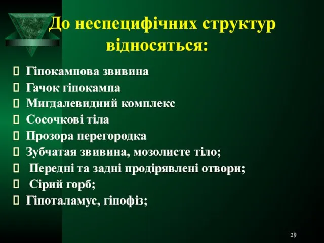 До неспецифічних структур відносяться: Гіпокампова звивина Гачок гіпокампа Мигдалевидний комплекс Сосочкові