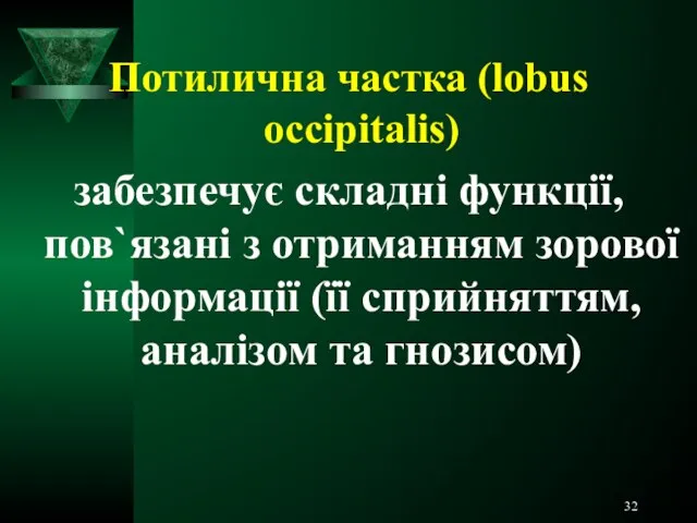 Потилична частка (lobus occipitalis) забезпечує складні функції, пов`язані з отриманням зорової