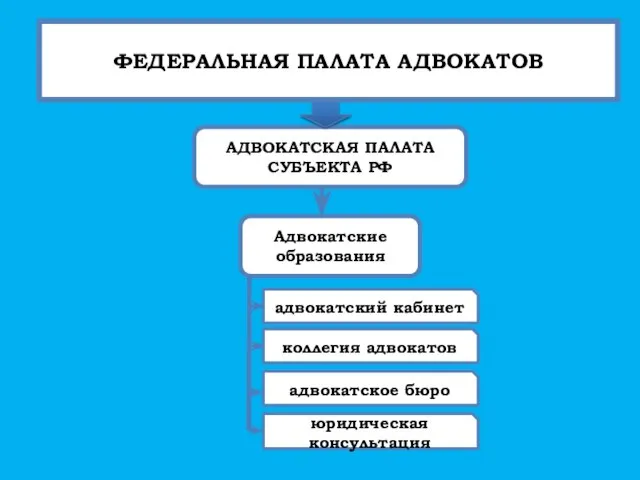 . ФЕДЕРАЛЬНАЯ ПАЛАТА АДВОКАТОВ АДВОКАТСКАЯ ПАЛАТА СУБЪЕКТА РФ Адвокатские образования адвокатский