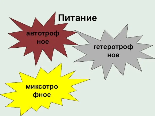 Питание автотрофное гетеротрофное миксотрофное