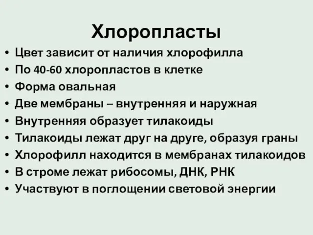 Хлоропласты Цвет зависит от наличия хлорофилла По 40-60 хлоропластов в клетке