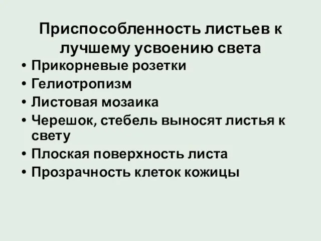 Приспособленность листьев к лучшему усвоению света Прикорневые розетки Гелиотропизм Листовая мозаика