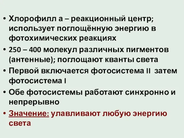 Хлорофилл а – реакционный центр; использует поглощённую энергию в фотохимических реакциях