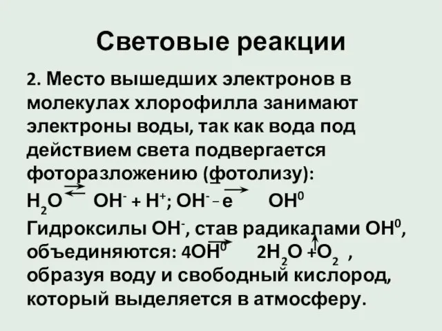 Световые реакции 2. Место вышедших электронов в молекулах хлорофилла занимают электроны