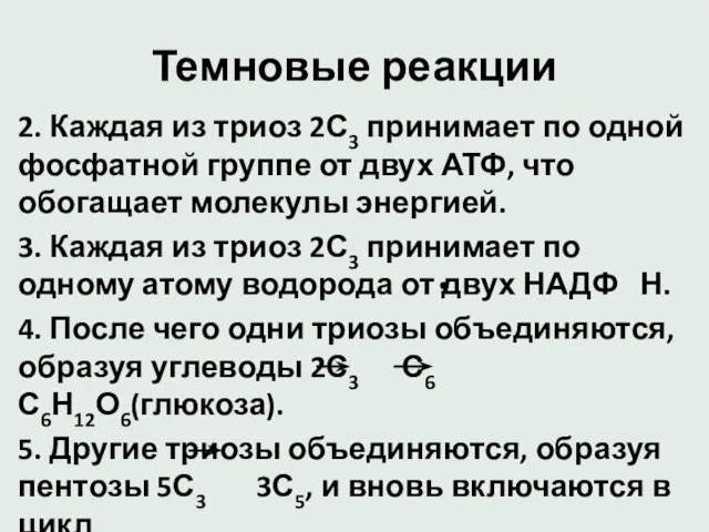 Темновые реакции 2. Каждая из триоз 2С3 принимает по одной фосфатной