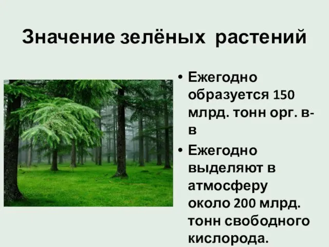 Значение зелёных растений Ежегодно образуется 150 млрд. тонн орг. в-в Ежегодно