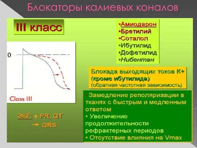 Блокаторы калиевых коналов