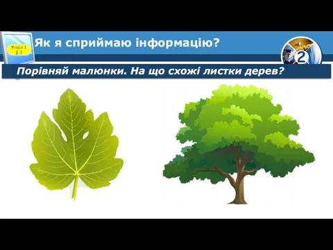 Як я сприймаю інформацію? Розділ 1 § 2 Порівняй малюнки. На що схожі листки дерев?