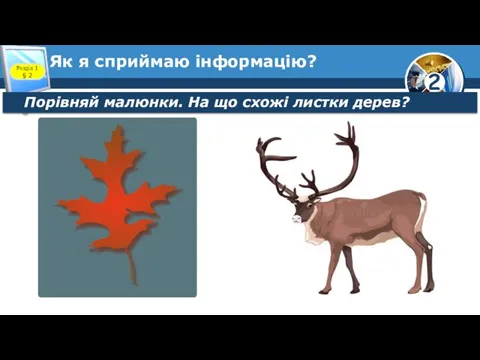 Як я сприймаю інформацію? Розділ 1 § 2 Порівняй малюнки. На що схожі листки дерев?