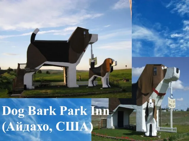 Dog Bark Park Inn (Айдахо, США)