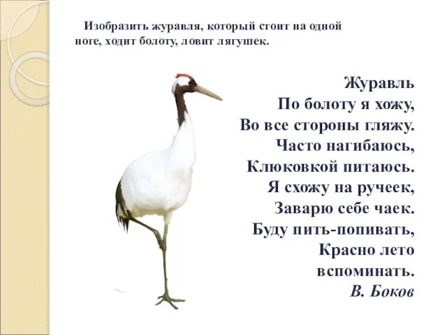 Журавль По болоту я хожу, Во все стороны гляжу. Часто нагибаюсь,