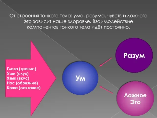 От строения тонкого тела: ума, разума, чувств и ложного эго зависит