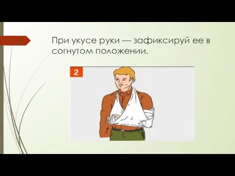 При укусе руки — зафиксируй ее в согнутом положении.