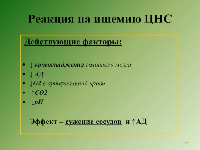 Реакция на ишемию ЦНС Действующие факторы: ↓ кровоснабжения головного мозга ↓