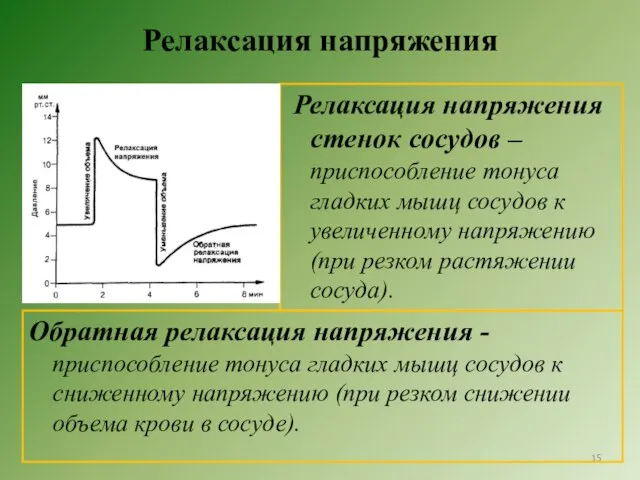 Релаксация напряжения Релаксация напряжения стенок сосудов – приспособление тонуса гладких мышц