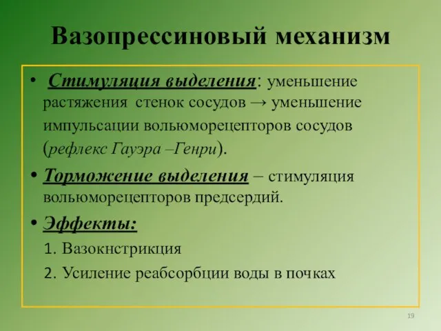 Вазопрессиновый механизм Стимуляция выделения: уменьшение растяжения стенок сосудов → уменьшение импульсации